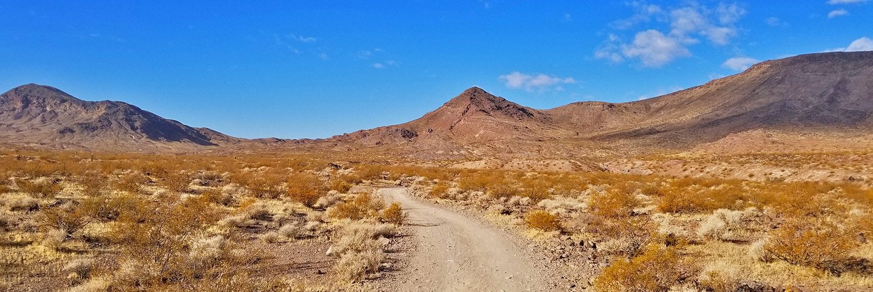 Continuing Beyond the Mile 1 Marker. Smaller Trails Branch Off to Most High Points | McCullough Hills Trail in Sloan Canyon National Conservation Area, Nevada