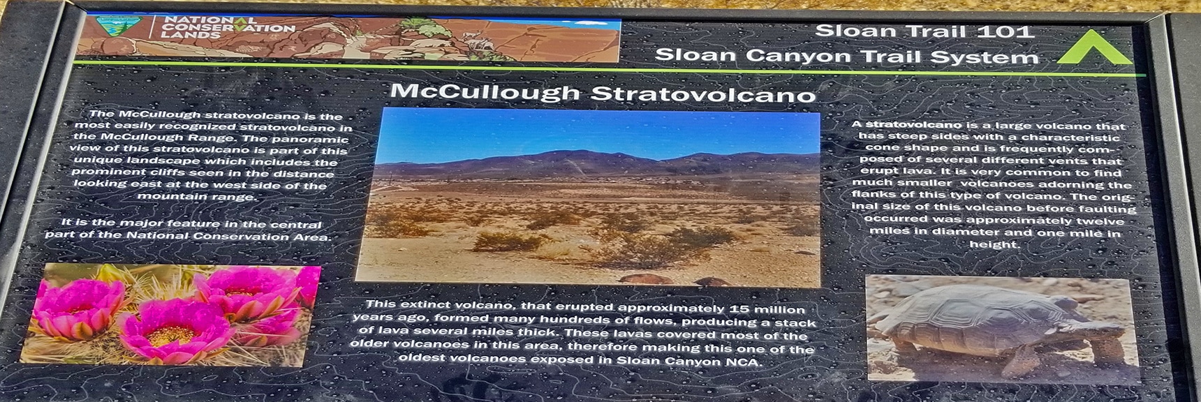 McCullough Hills Vulcanic Area Interpretive Sign | Petroglyph Canyon | Sloan Canyon National Conservation Area, Nevada