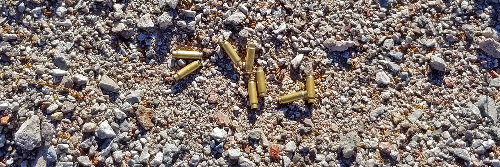 Spent Bullet Casings at Base of 