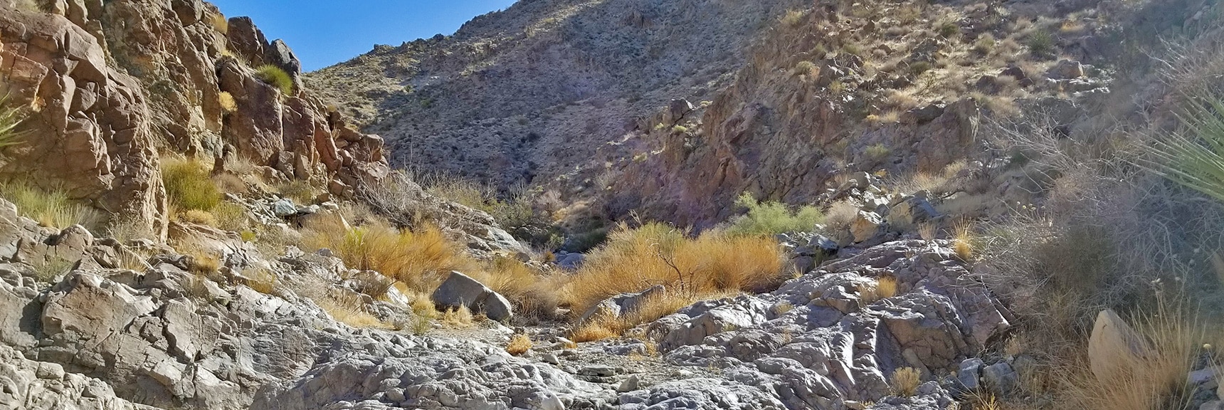 Ascending Horse Thief Canyon Above Box Canyon Barrier | Mt Wilson, Black Mountains, Arizona, Lake Mead National Recreation Area