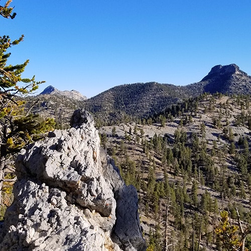 Bristlecone Pine Trail | Mt. Charleston Wilderness, Spring Mountains, Nevada