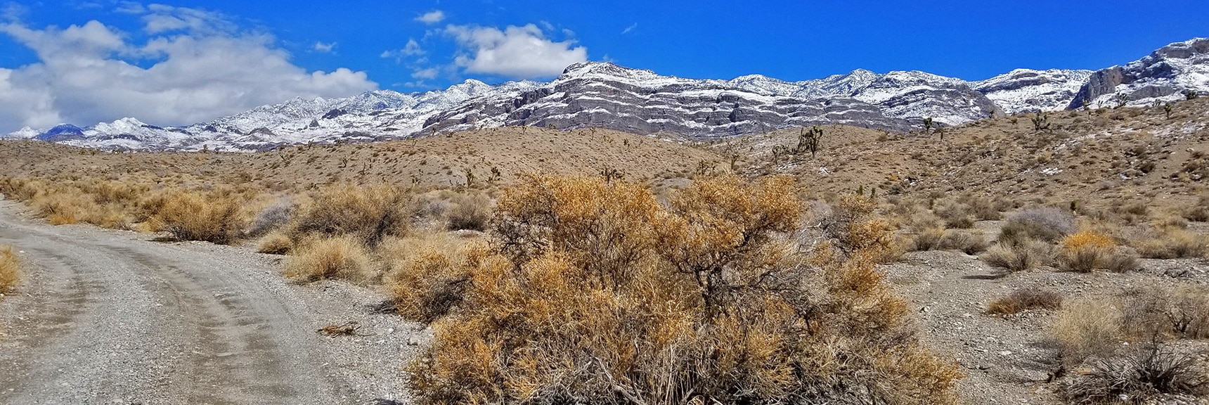View of Northern Sheep Range from Cow Camp Road | Cow Camp Road | Sheep Range | Desert National Wildlife Refuge, Nevada