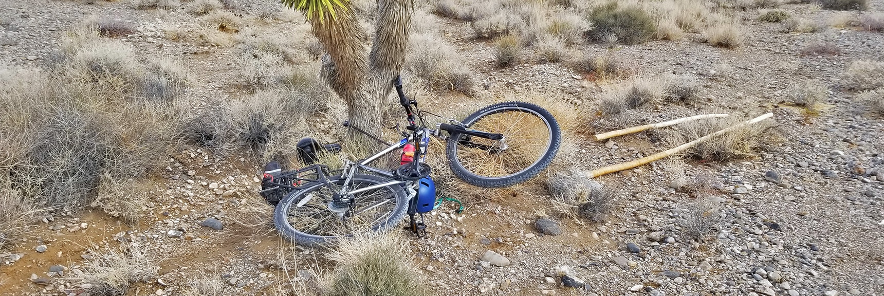 Leaving Bike Behind for Running/Hiking/Climbing Adventure | Cow Camp Road | Sheep Range | Desert National Wildlife Refuge, Nevada