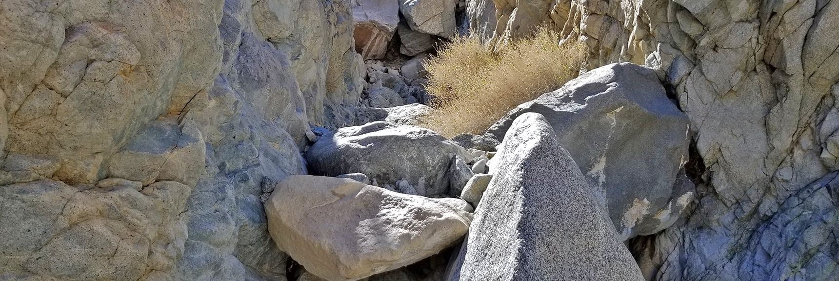 There are a Few Barriers Along the Way. Circumvent Via Ridges to the Left. | Horse Thief Canyon Loop | Mt. Wilson | Black Mountains | Lake Mead National Recreation Area, Arizona