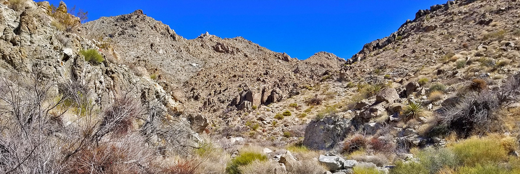 Mt. Wilson and Summit Approach Ridge from Upper Horse Thief Canyon | Horse Thief Canyon Loop | Mt. Wilson | Black Mountains | Lake Mead National Recreation Area, Arizona