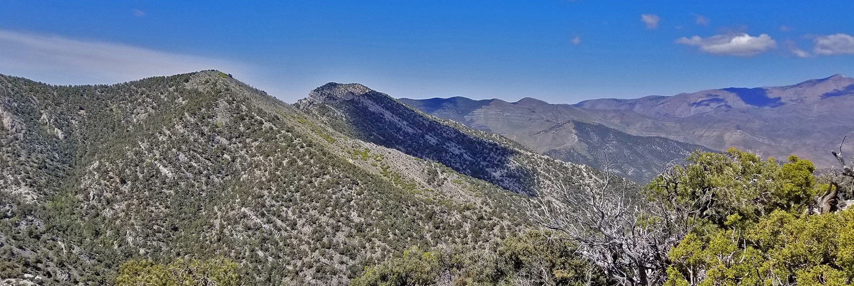 La Madre Mountains Wilderness Overlook | La Madre Mountains Wilderness, Nevada