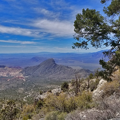 Southern Approach to La Madre Mountain | La Madre Mountains Wilderness, Nevada