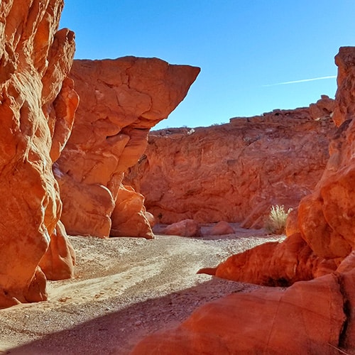 Charles Spring Trail | Valley of Fire State Park, Nevada