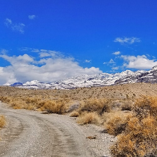 Cow Camp Road | Sheep Range | Desert National Wildlife Refuge, Nevada