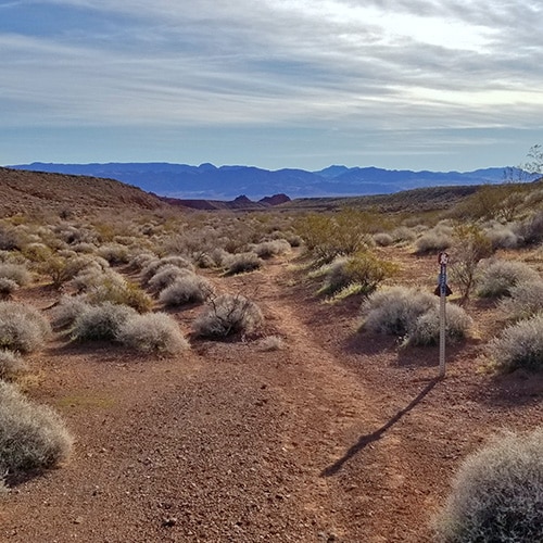 Old Arrowhead Trail | Valley of Fire State Park, Nevada