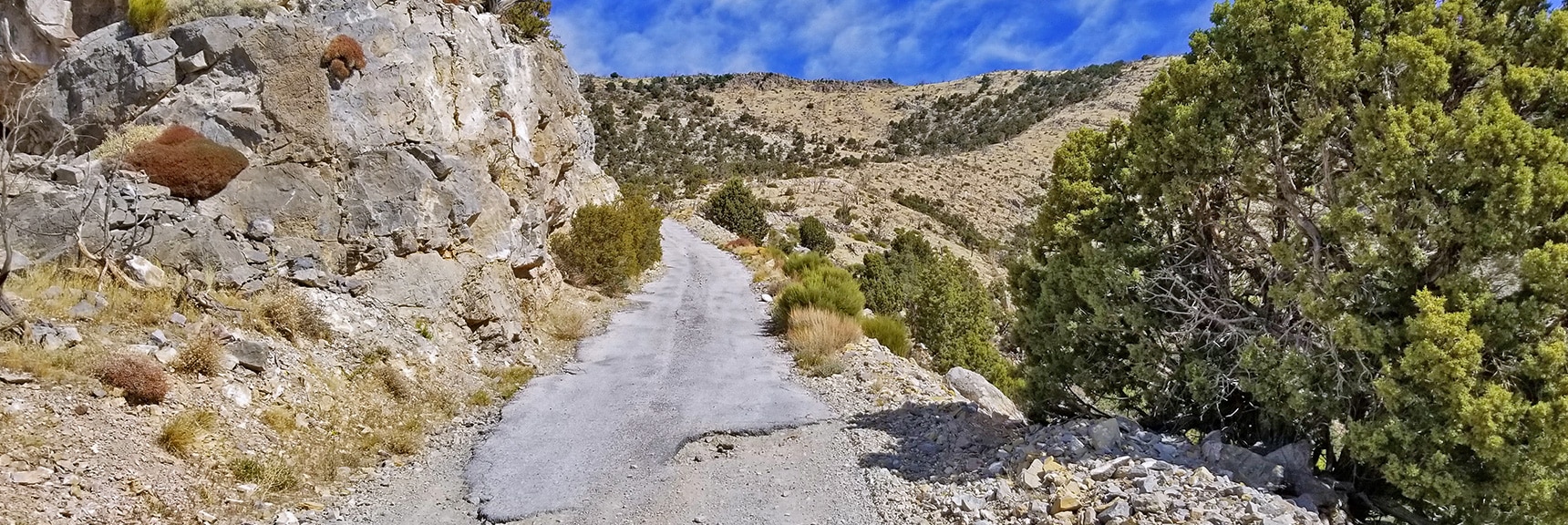 Relentless Rapid Elevation Ascent. No Respite Until the Upper Ridge is Achieved | Potosi Mountain Spring Mountains Nevada