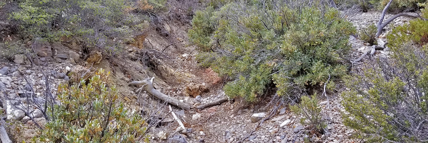 Narrow Wash Leading Up Toward Sexton Ridge Access Ridge | Griffith Peak Southern Approach from Sexton Ridge Above Lovell Canyon, Nevada