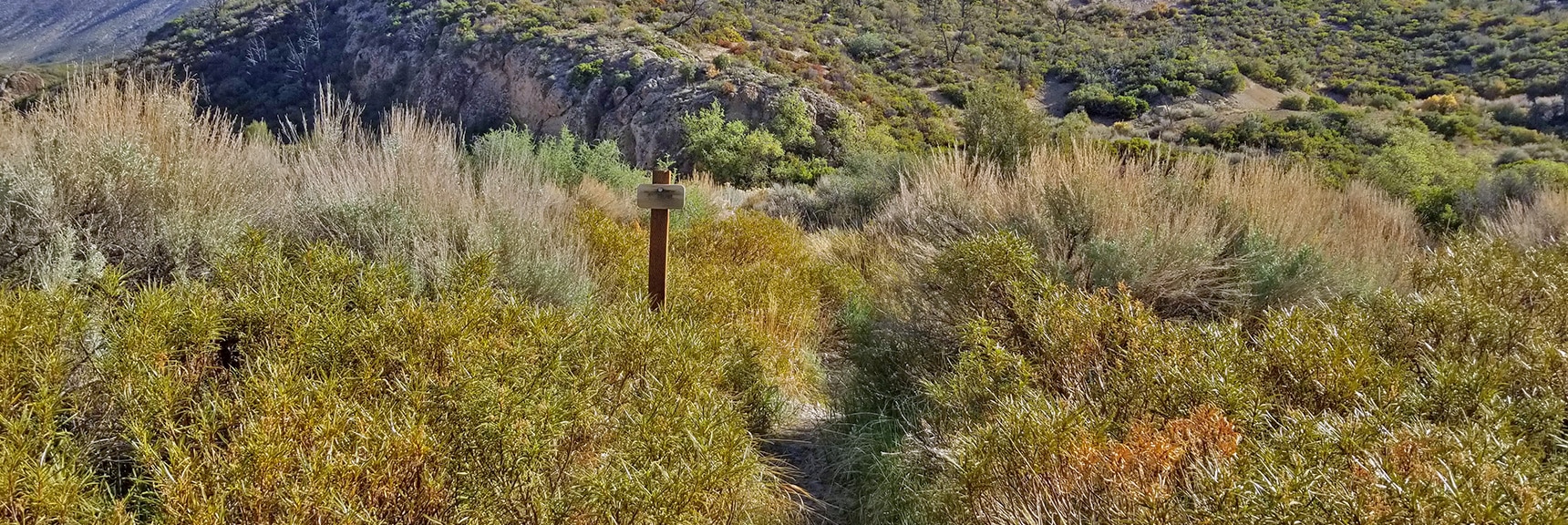 Lovell Canyon Trail Crosses Canyon Through Brush. | Harris Mountain from Lovell Canyon Nevada