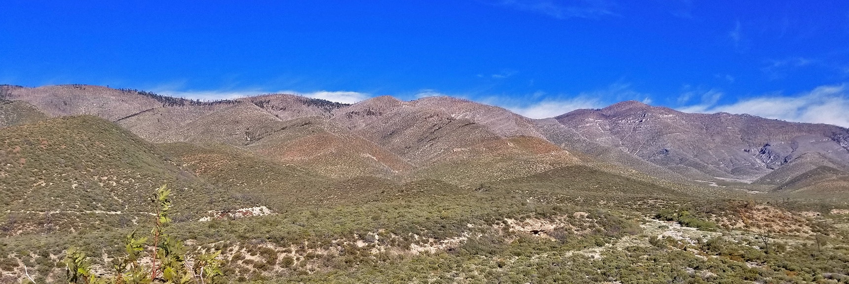 View Across Lovell Canyon to Sexton Ridge and Griffith Peak | Harris Mountain from Lovell Canyon Nevada