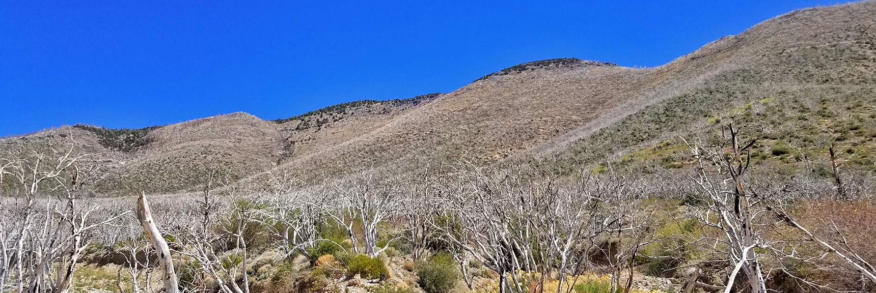 Approach Ridge Possibilities to the Right Toward Harris Mountain | Harris Mountain from Lovell Canyon Nevada