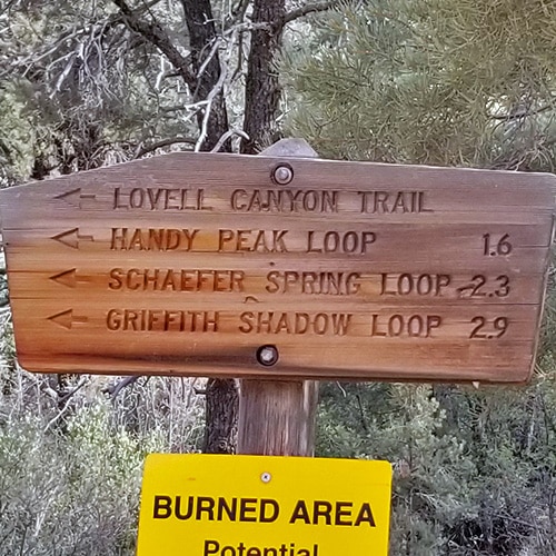 Lovell Canyon Trail | Lovell Canyon | La Madre Mountains Wilderness | Spring Mountains, Nevada