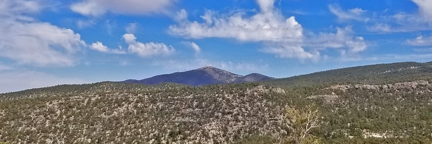 Angel Peak Viewed from an Initial Rise on the Mud Spings Loop Trail | Sawmill Trail to McFarland Peak | Spring Mountains, Nevada