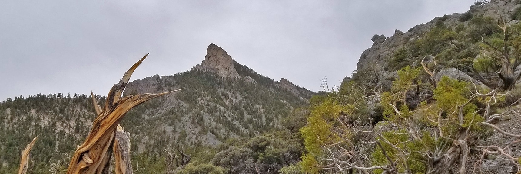 Ascending 9,235ft High Point Ridge on Trail Just Beyond McFarland Peak | Sawmill Trail to McFarland Peak | Spring Mountains, Nevada