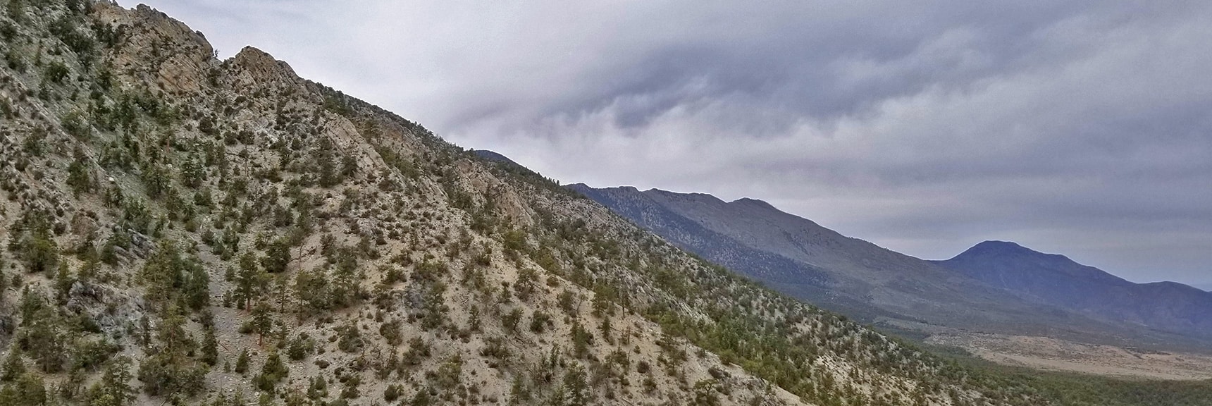 Ridge System Toward Bonanza Peak and Cold Springs Viewed from 9,235ft High Point Bluff | Sawmill Trail to McFarland Peak | Spring Mountains, Nevada