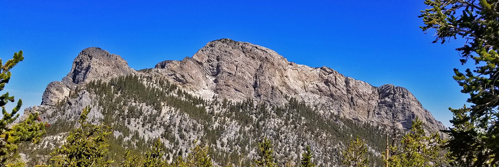 Full Shot of McFarland Peak Viewed from Bonanza Trail | Base of McFarland Peak via Bristlecone Pine Trail and Bonanza Trail | Lee Canyon | Spring Mountains, Nevada