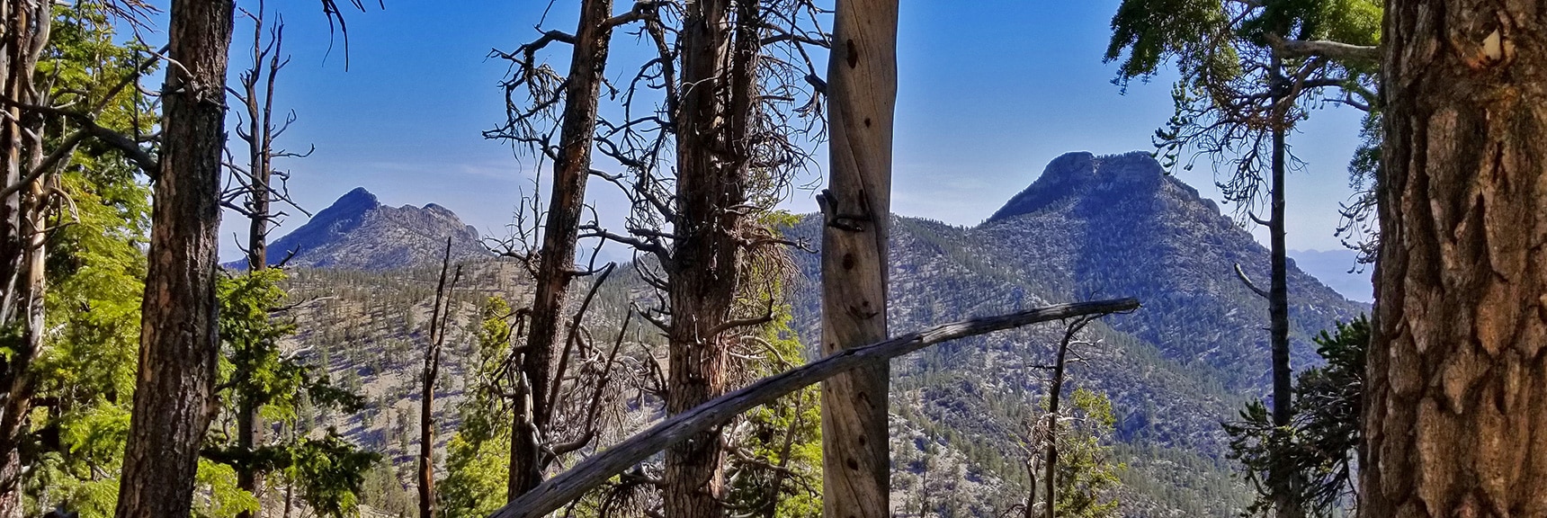 Sisters Peaks Viewed from Bonanza Trail | Base of McFarland Peak via Bristlecone Pine Trail and Bonanza Trail | Lee Canyon | Spring Mountains, Nevada