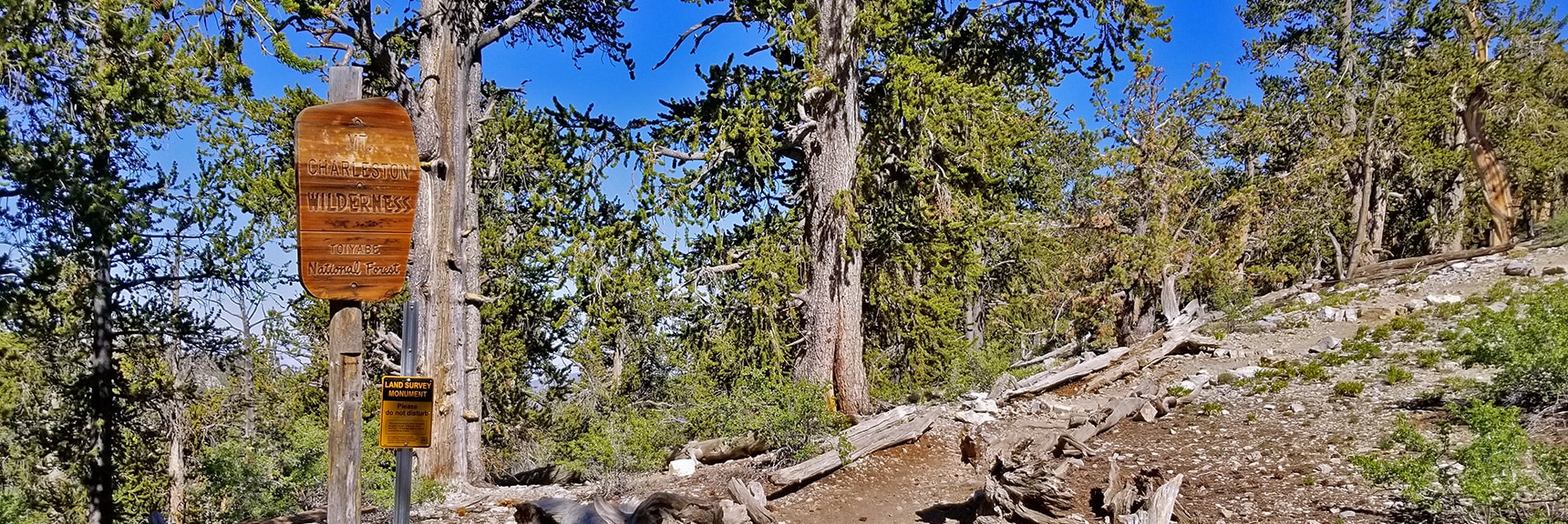 Entering Mt. Charleston Wilderness on the Bonanza Trail | Base of McFarland Peak via Bristlecone Pine Trail and Bonanza Trail | Lee Canyon | Spring Mountains, Nevada