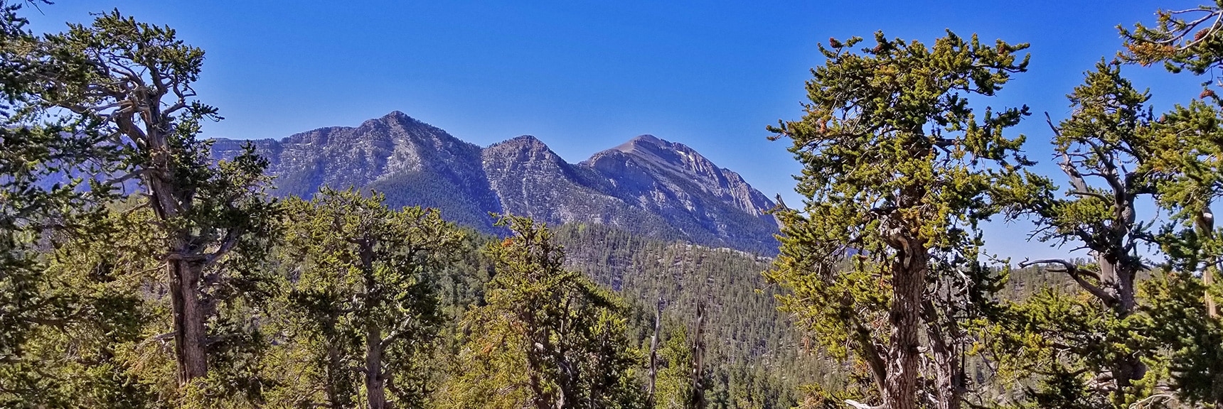 Lee Peak and Charleston Peak Viewed from the Bonanza Trail | Base of McFarland Peak via Bristlecone Pine Trail and Bonanza Trail | Lee Canyon | Spring Mountains, Nevada