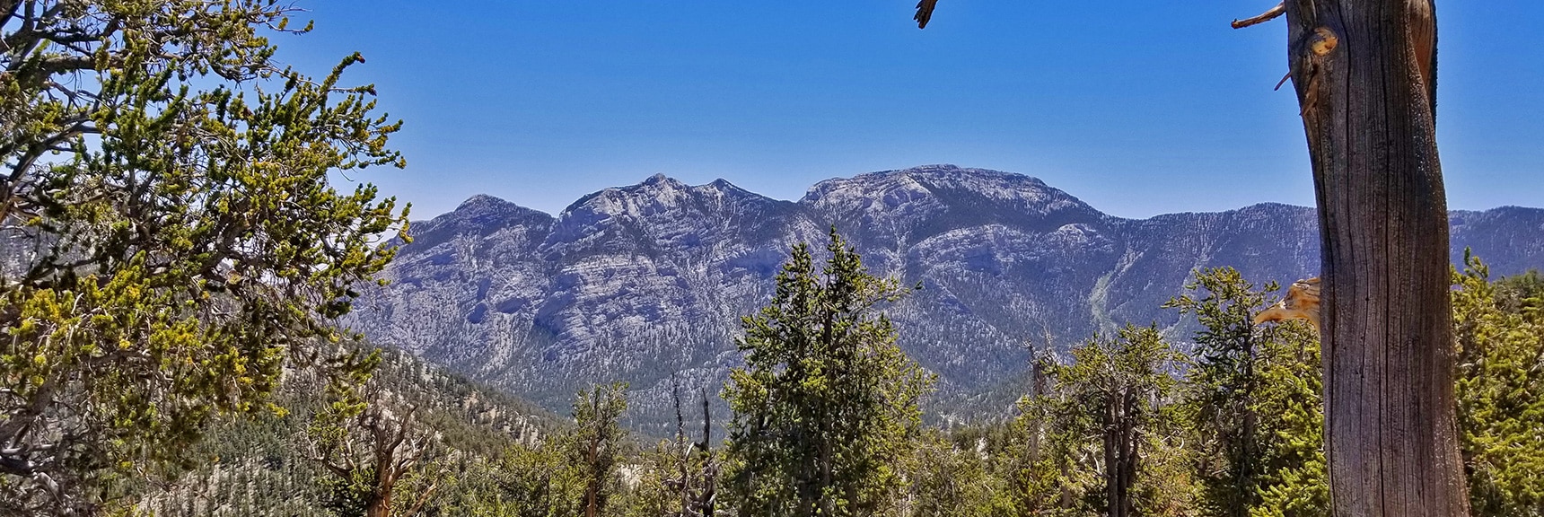 Mummy Mountain Viewed from Bonanza Trail | Base of McFarland Peak via Bristlecone Pine Trail and Bonanza Trail | Lee Canyon | Spring Mountains, Nevada