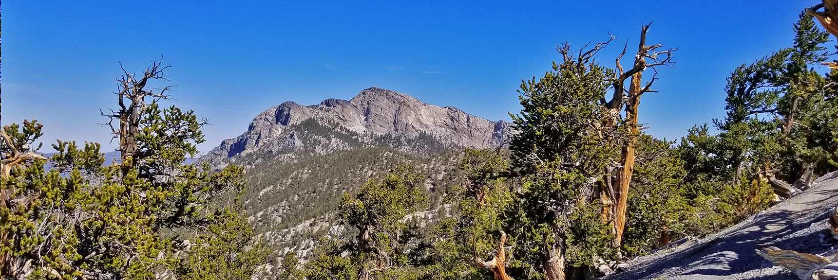 First View of McFarland Peak from Bonanza Trail | Base of McFarland Peak via Bristlecone Pine Trail and Bonanza Trail | Lee Canyon | Spring Mountains, Nevada