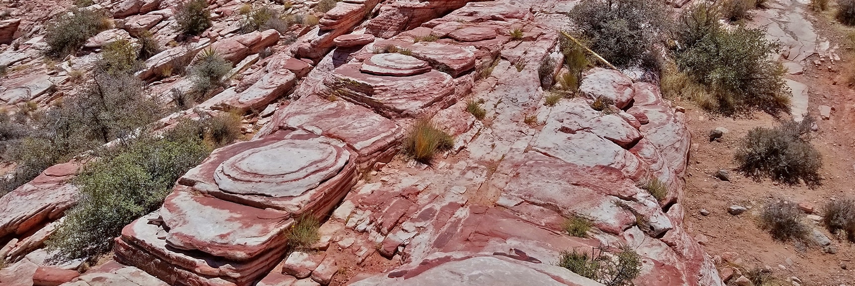 Beautiful Rock Formations on Kraft Mountain Loop Below Pink Goblin Pass | Kraft Mountain Loop | Calico Basin, Nevada