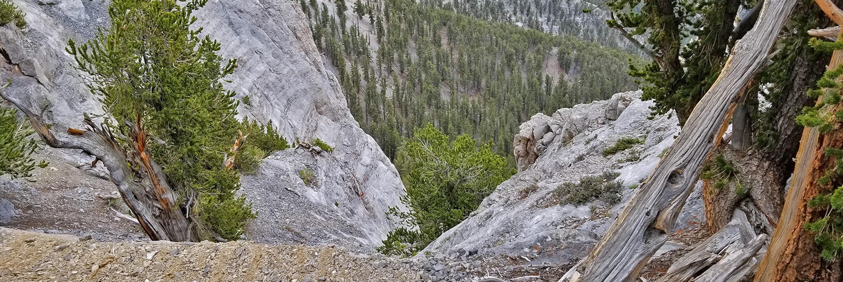 You've Seen the Cliffs Above the Ledge. Here are the Cliffs Below! | Mummy Mountain NW Cliffs | Mt Charleston Wilderness | Spring Mountains, Nevada