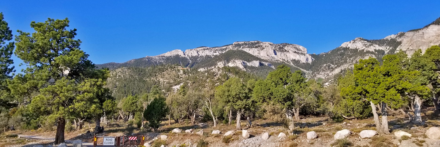 Overview of Area Covered in This Adventure: Base of Mummy Cliffs to Fletcher Peak | Deer Creek Rd - Mummy Cliffs - Mummy Springs - Raintree - Fletcher Peak - Cougar Ridge Trail Circuit | Mt Charleston Wilderness | Spring Mountains, Nevada