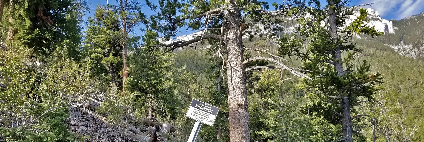 Avoiding Private Lands Took Me Off Course from Original Goal of Mummy's Head! | Deer Creek Rd - Mummy Cliffs - Mummy Springs - Raintree - Fletcher Peak - Cougar Ridge Trail Circuit | Mt Charleston Wilderness | Spring Mountains, Nevada
