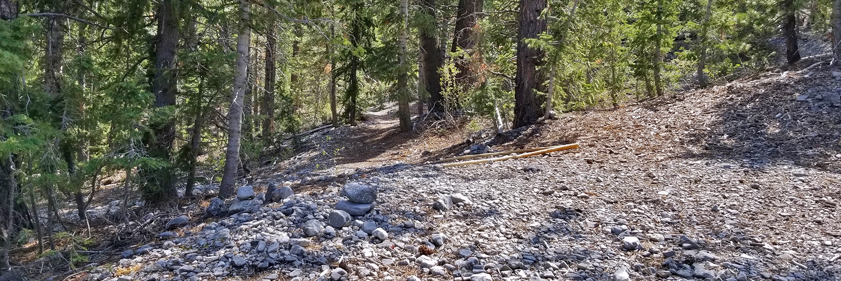 Point Where Cougar Ridge Trail Branches Off from the Unpaved Roads Above Deer Creek Road | Deer Creek Rd - Mummy Cliffs - Mummy Springs - Raintree - Fletcher Peak - Cougar Ridge Trail Circuit | Mt Charleston Wilderness | Spring Mountains, Nevada