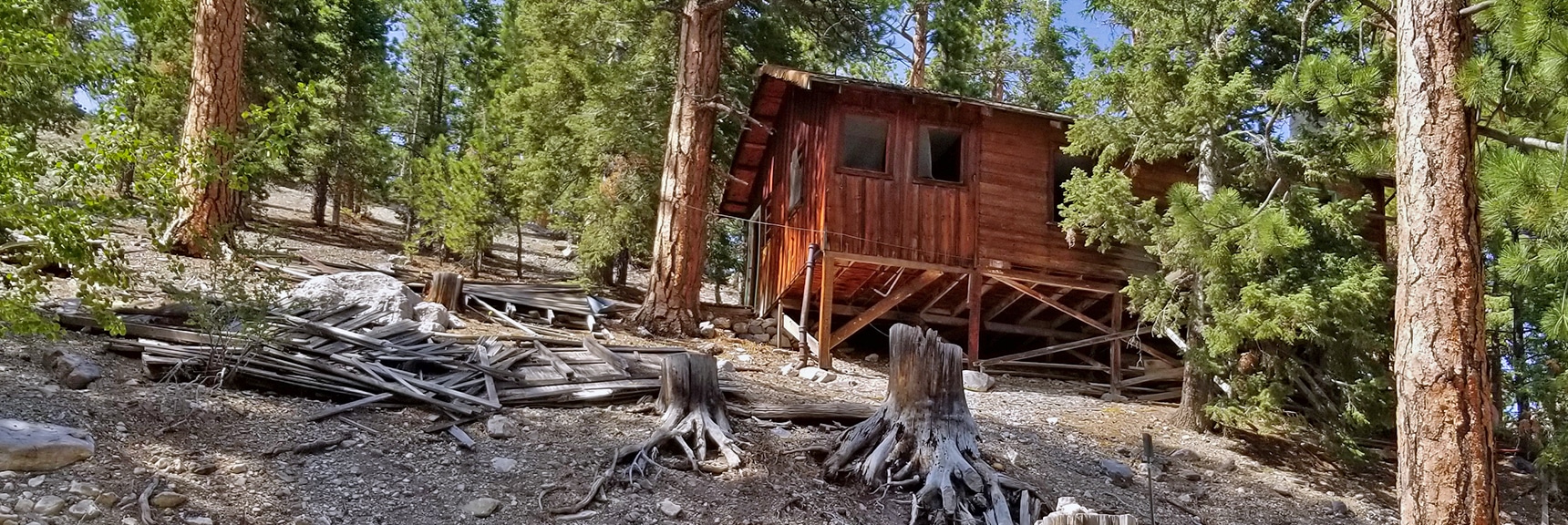 Old Abandoned Cabin Marks Place Where the Small Upper Road Meets the Main Road | Deer Creek Rd - Mummy Cliffs - Mummy Springs - Raintree - Fletcher Peak - Cougar Ridge Trail Circuit | Mt Charleston Wilderness | Spring Mountains, Nevada