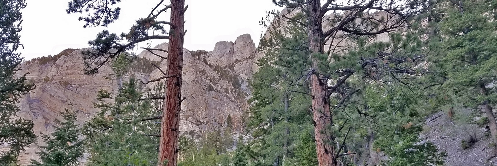 Potential Approach to Mummy's Head to Right of Wash | Mummy Mountain Summit Approach from Lee Canyon | Mt. Charleston Wilderness | Spring Mountains, Nevada