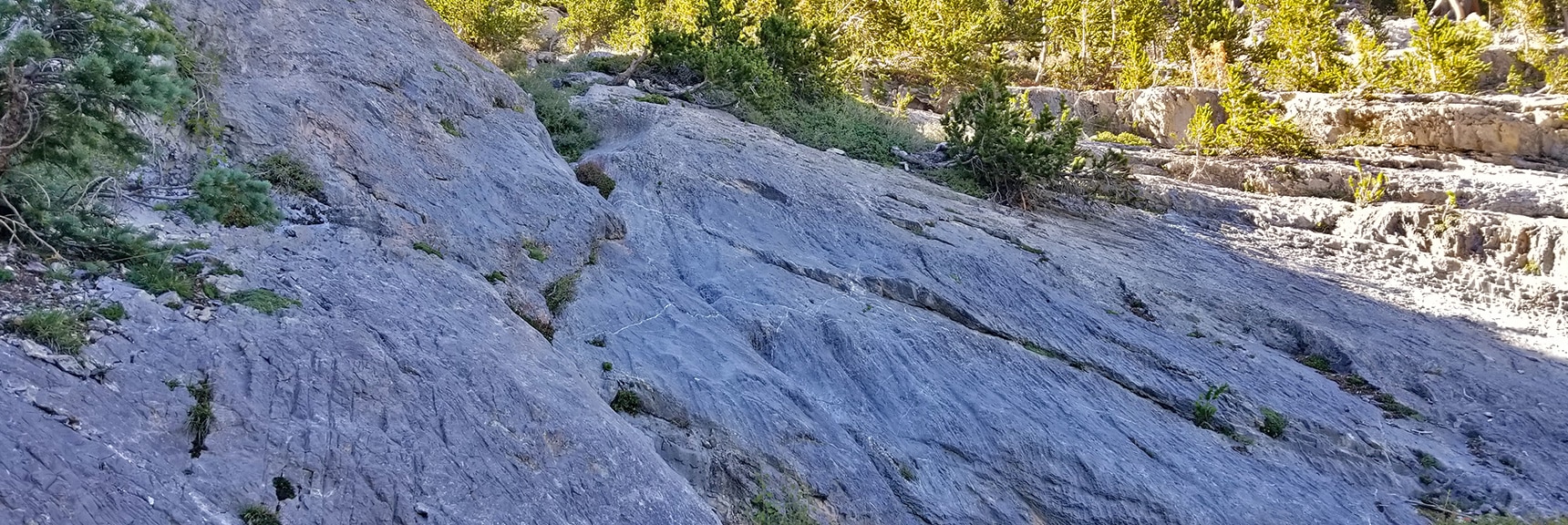 Arrival at 2nd Major Barrier. More Gentle and Firm Ascent. Class 3. | Mummy Mountain Summit Approach from Lee Canyon | Mt. Charleston Wilderness | Spring Mountains, Nevada