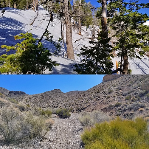 Time of Year and Temperature | Plan Your Las Vegas Area Wilderness Adventure