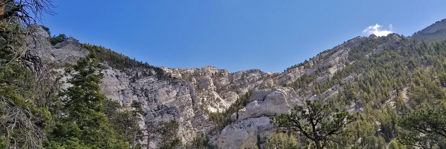 View of Ridgeline Between Bonanza and McFarland Peak from Below on Bonanza Trail | Bonanza Peak from Lee Canyon via the Lower Bristlecone Pine Trail and Bonanza Trail | Spring Mountains, Nevada