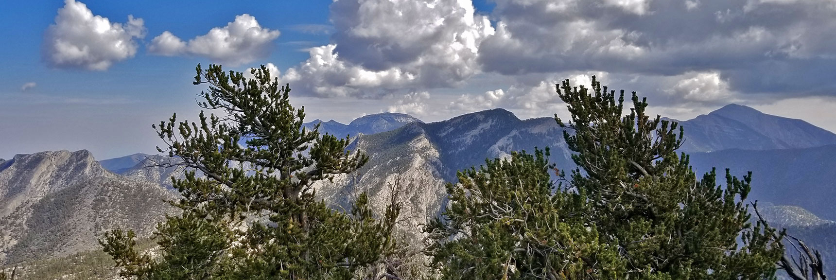 McFarland Peak, Angel Peak, Mummy Mt and Charleston Peak from Bonanza Peak Summit | Bonanza Peak from Lee Canyon via the Lower Bristlecone Pine Trail and Bonanza Trail | Spring Mountains, Nevada