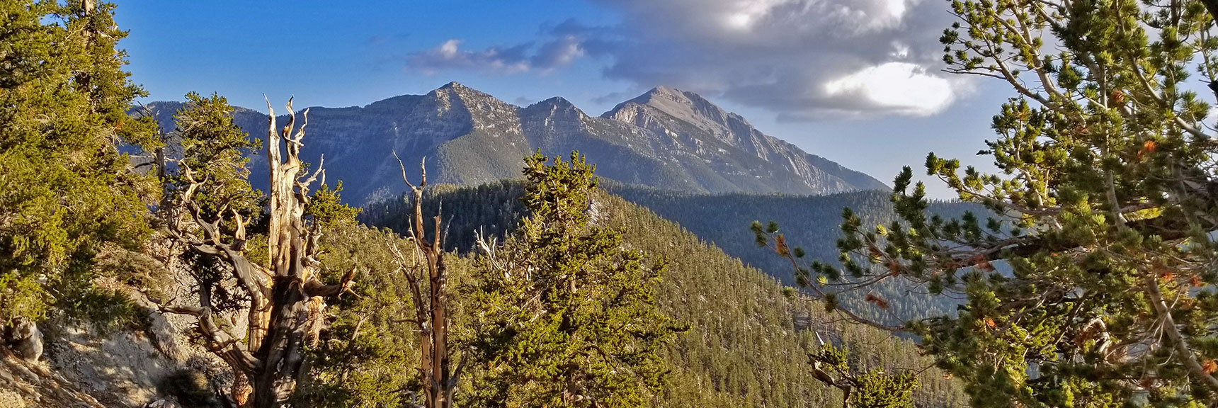 Charleston Peak in the Late Afternoon Sun from the Bonanza Trail | Bonanza Peak from Lee Canyon via the Lower Bristlecone Pine Trail and Bonanza Trail | Spring Mountains, Nevada
