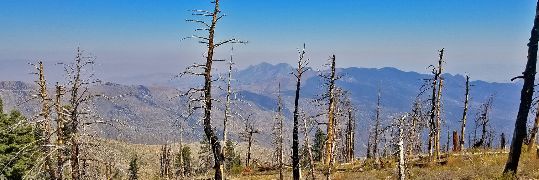 La Madre Mts in Haze of California Fires Viewed from 2013 Sexton Ridge Burn Area | Griffith Peak Southern Approach from Sexton Ridge Above Lovell Canyon, Nevada