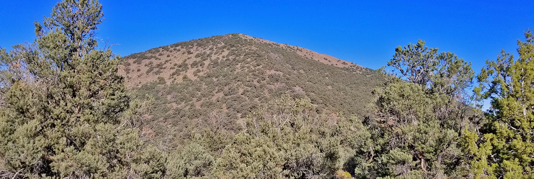 Wildrose Peak Viewed from Saddle at Base of Final Summit Approach | Wildrose Peak | Panamint Mountain Range | Death Valley National Park, California