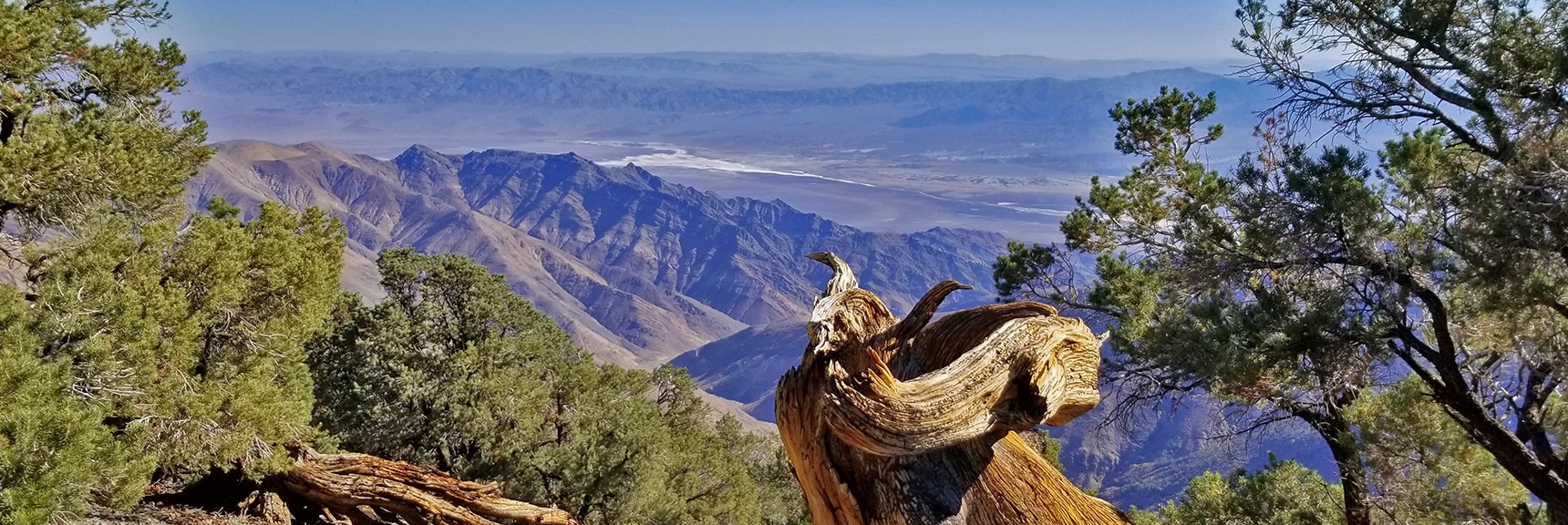 Death Valley Viewed from Wildrose Peak Final Summit Approach | Wildrose Peak | Panamint Mountain Range | Death Valley National Park, California