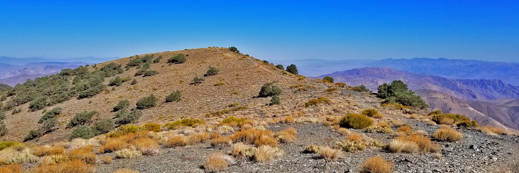 Wildrose Peak Saddle Summit, View to True Mid-Summit from South Summit | Wildrose Peak | Panamint Mountain Range | Death Valley National Park, California