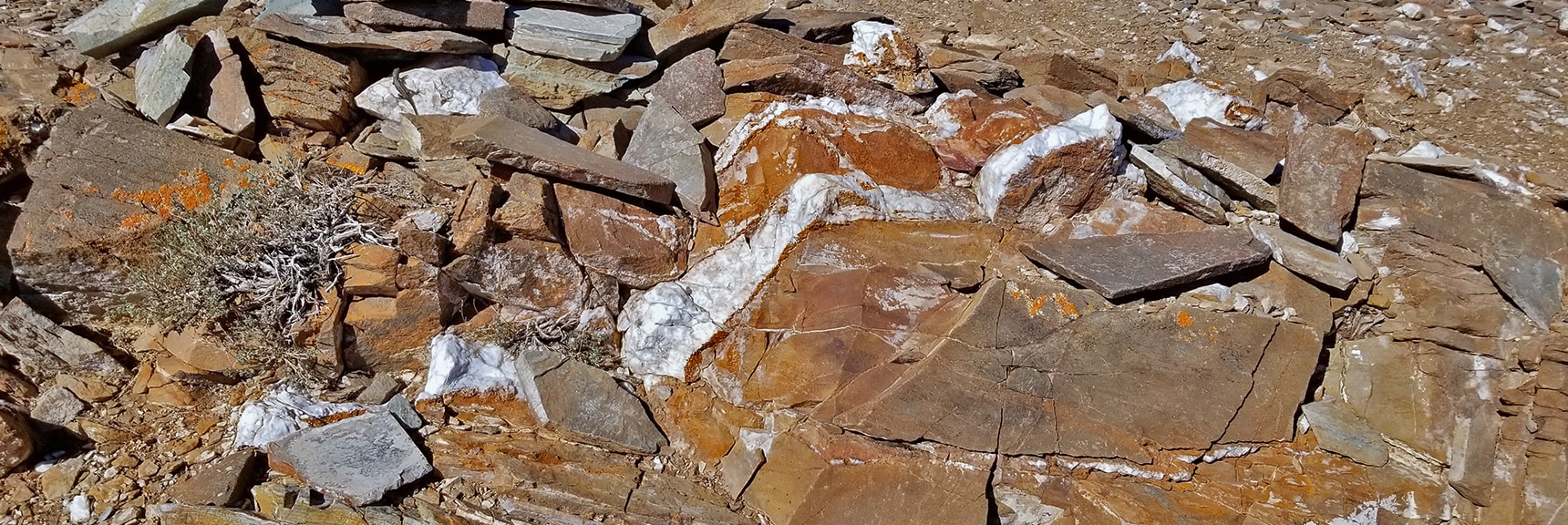 Veins of Marble on Wildrose Peak Northern Summit Area | Wildrose Peak | Panamint Mountain Range | Death Valley National Park, California