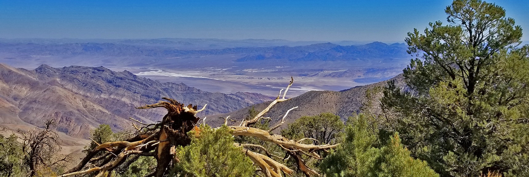 View of Furnace Creek Area from Just Below Wildrose Peak Summit | Wildrose Peak | Panamint Mountain Range | Death Valley National Park, California