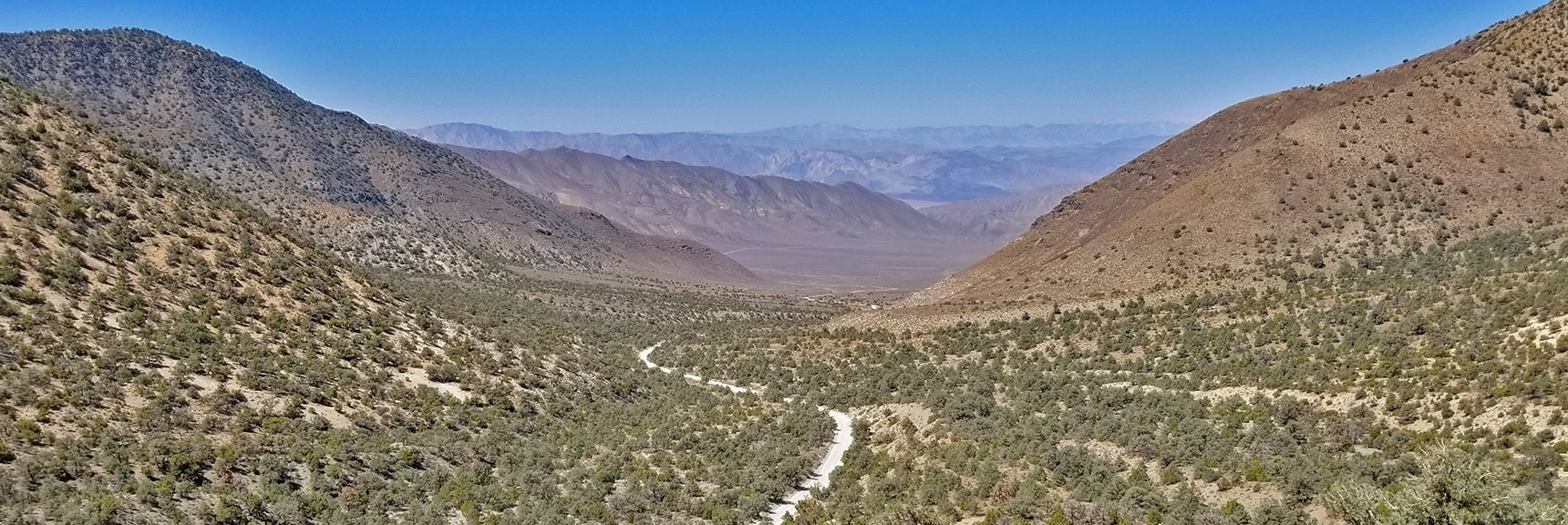 Charcoal Kiln Road and Emigrant Pass Road Area Viewed from Above Wildrose Peak Trailhead | Wildrose Peak | Panamint Mountain Range | Death Valley National Park, California