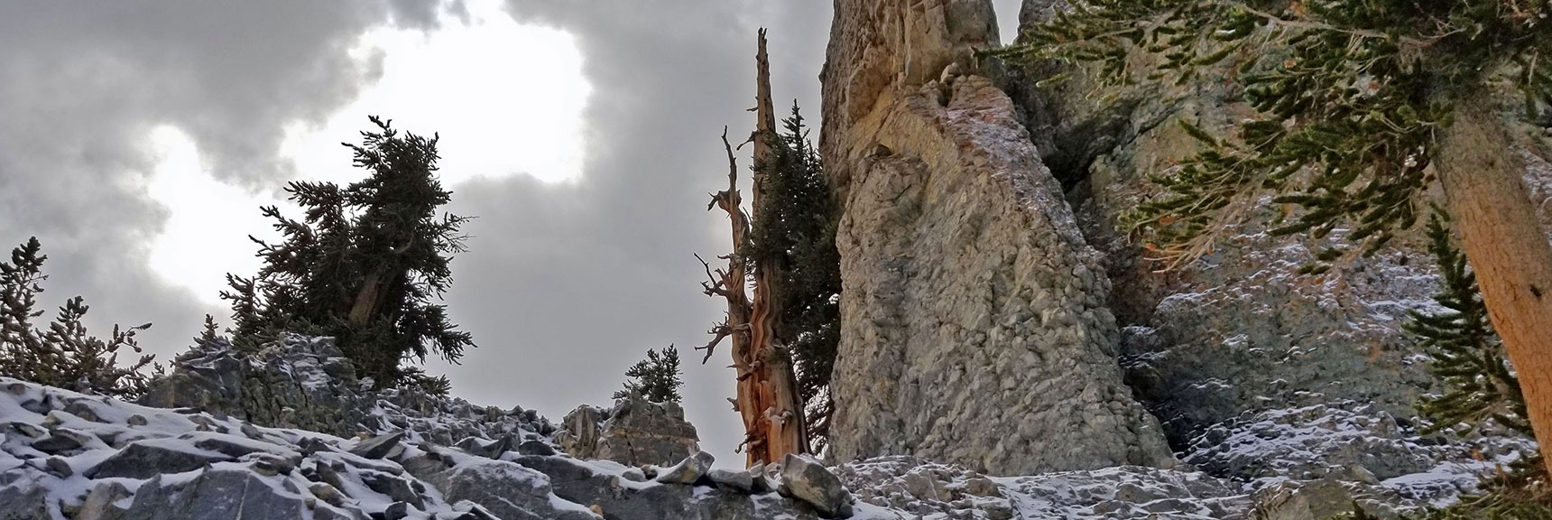 Rounding One of Many Cliff Sections - Rock, Tree and Stone are Incredible! | Charleston Peak Loop October Snow Dusting | Mt. Charleston Wilderness | Spring Mountains, Nevada