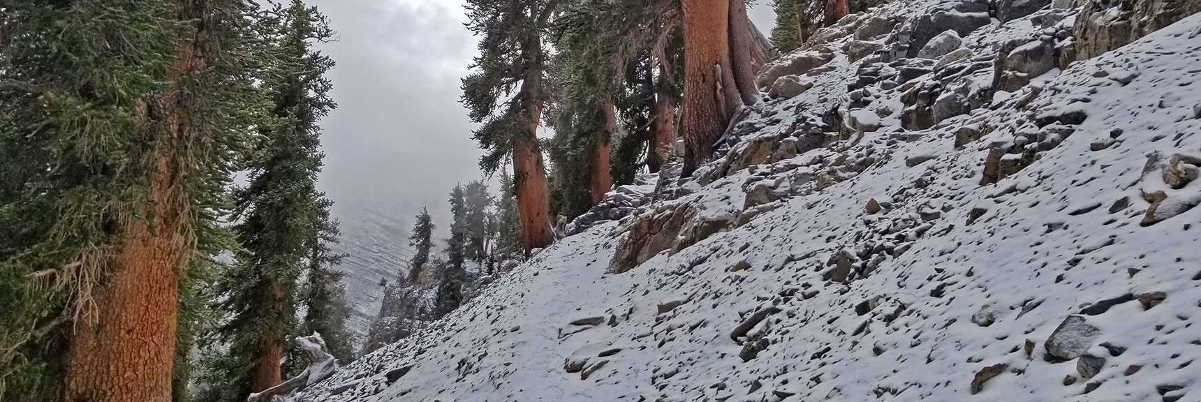 More Trail Along the Slope, Clouds Closing in Again | Charleston Peak Loop October Snow Dusting | Mt. Charleston Wilderness | Spring Mountains, Nevada